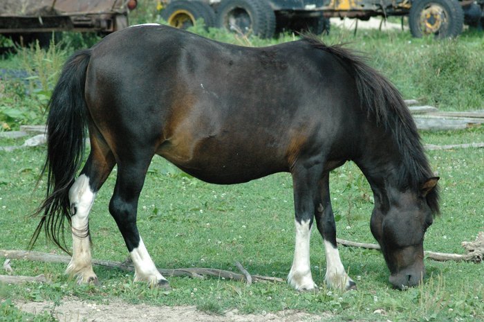 DSC_2629.JPG