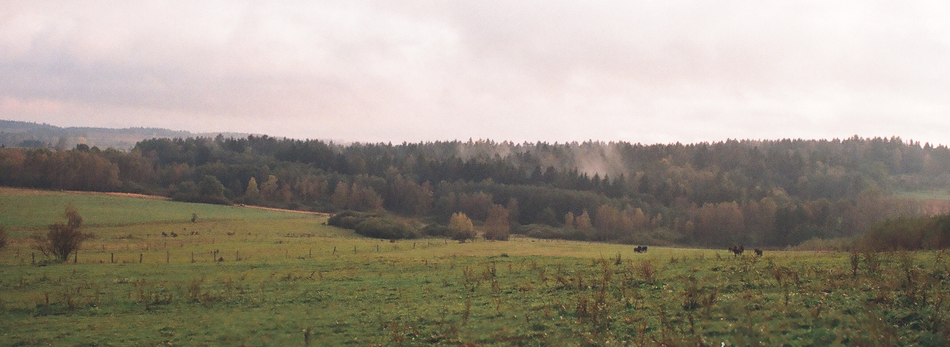 05970016.JPG